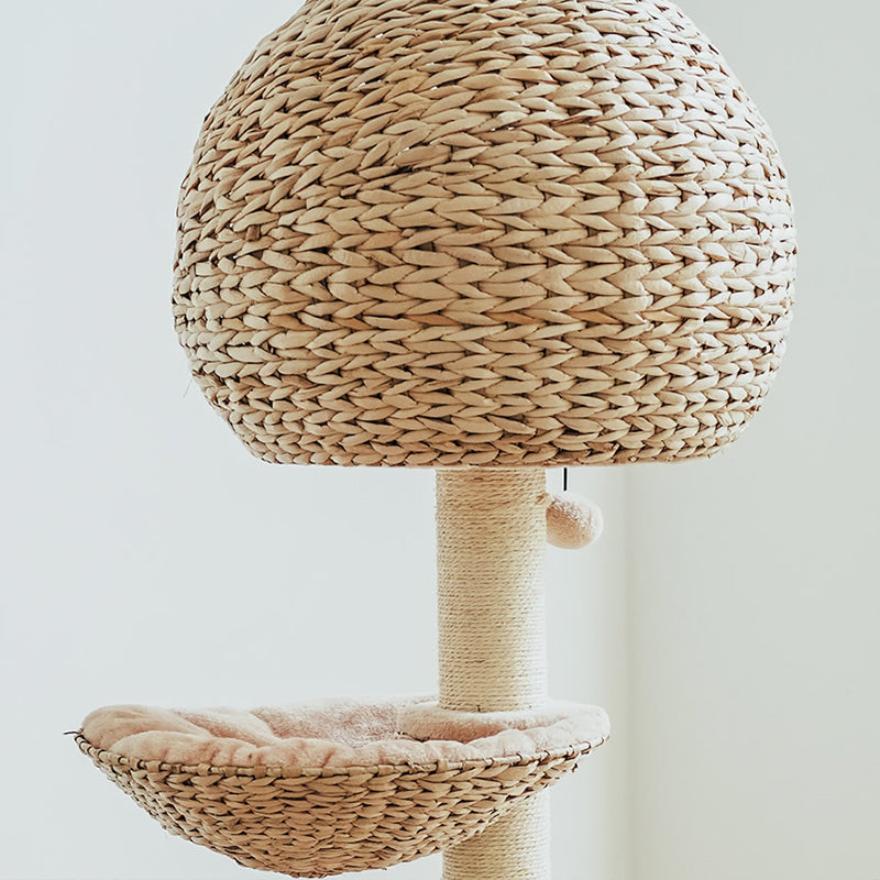 Bird Nest Cat Tree