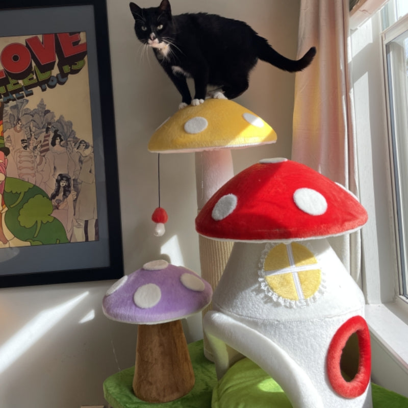 Magic Mushroom Cat Tree