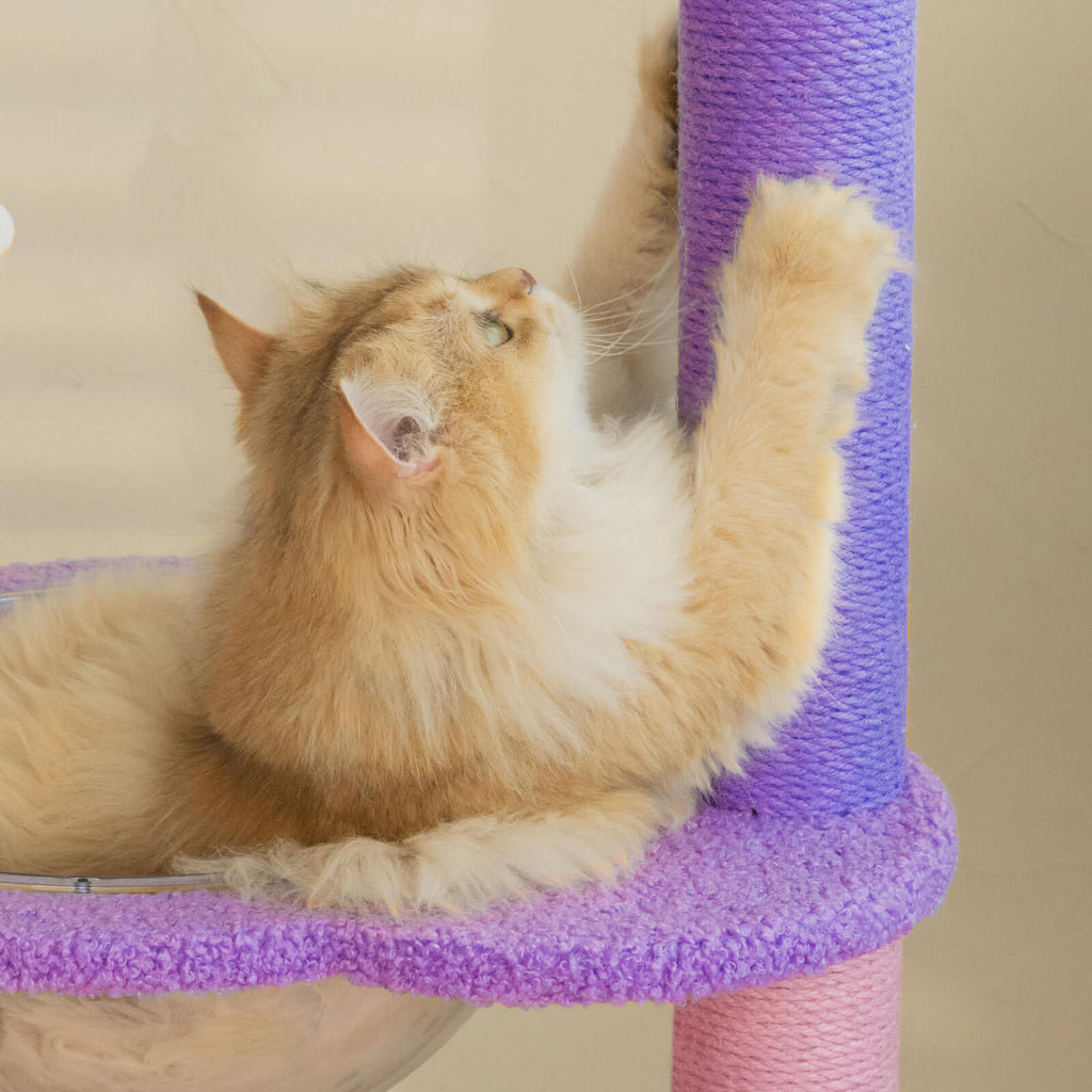 Moonlight Cat Tree