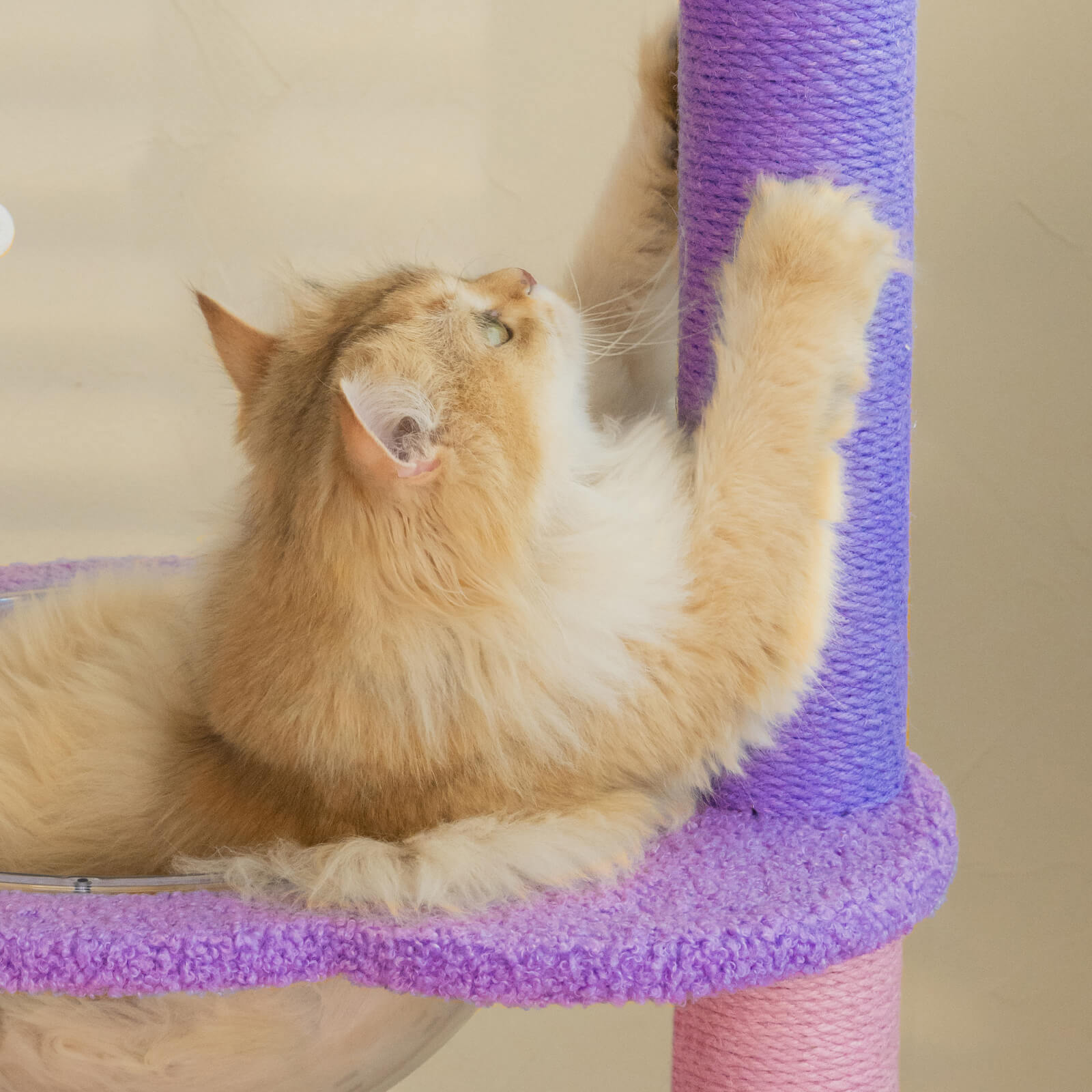 Moonlight Cat Tree