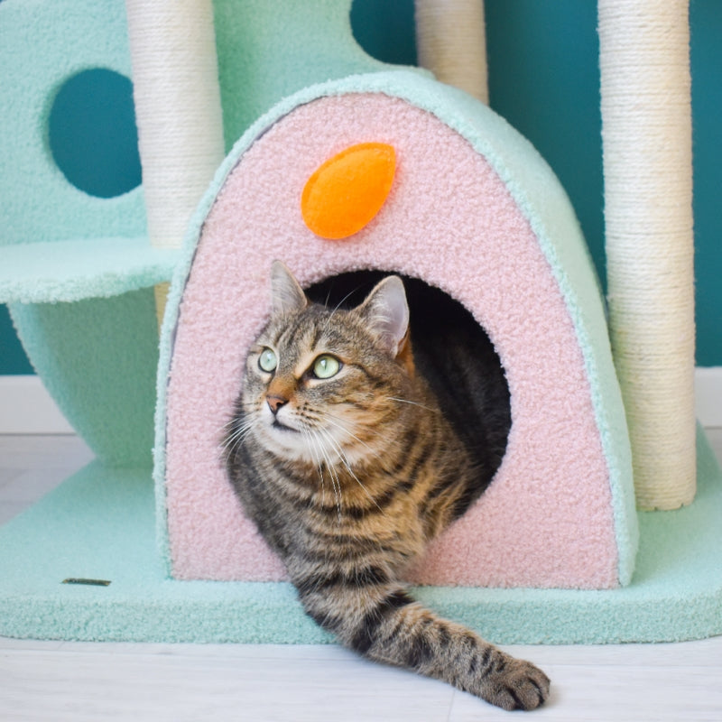 Upgraded Wonderland Cat Tree-XL