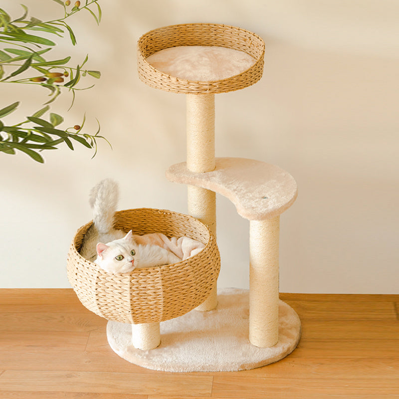 Sleeping in the Bowl Cat Tree